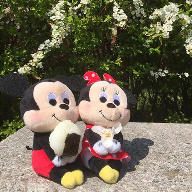 ぬい撮りさん待望！撮影しやすいディズニーのぬいぐるみでSNSを華やか