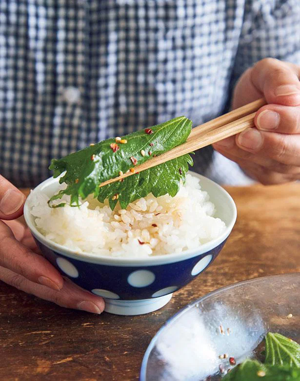 たくさん作ってもあっという間に完食！「青じそのごま油しょうゆ漬け」／おいしいがとまらない！ 魅惑のレシピ（4）