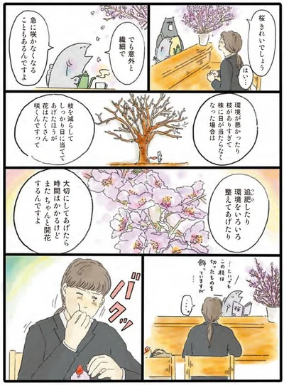 またちゃんと開花するんですよ