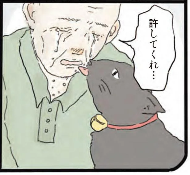 「一人もんどうし、一緒に生きていこう」と約束したのに。愛猫との別れを決めたワケ／泣きたい夜の甘味処（6）