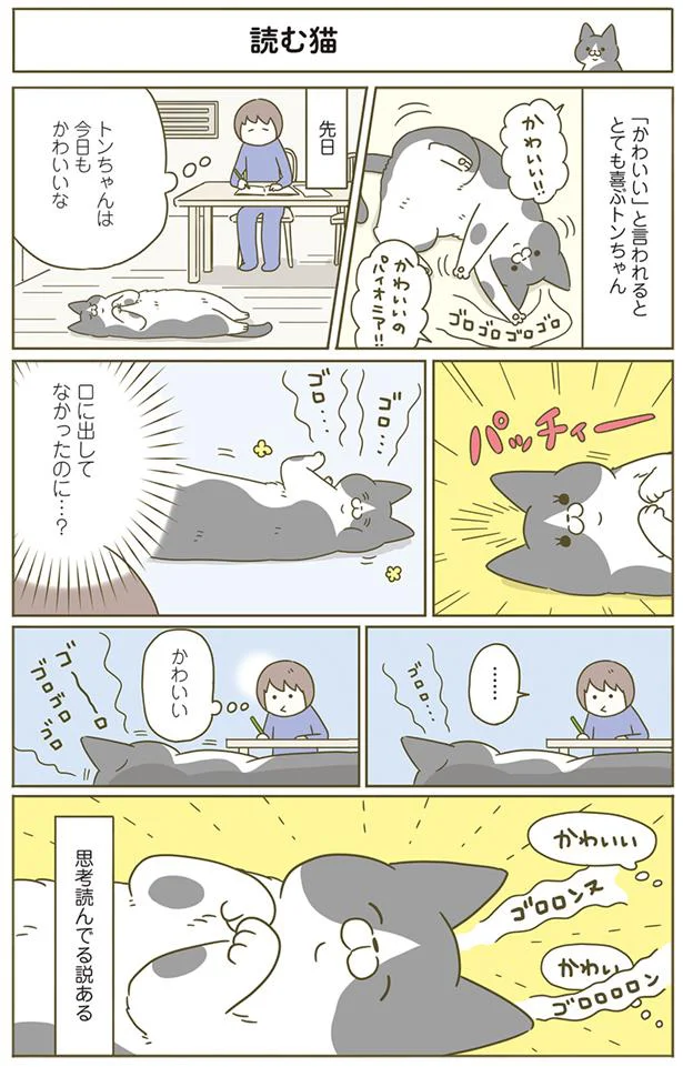 読む猫