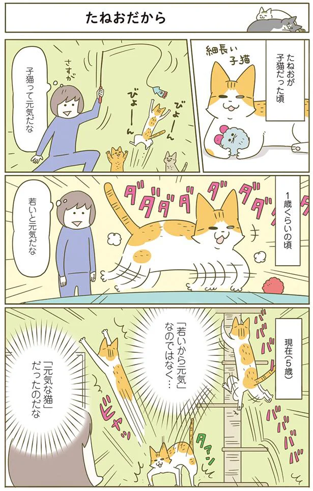 たねおだから