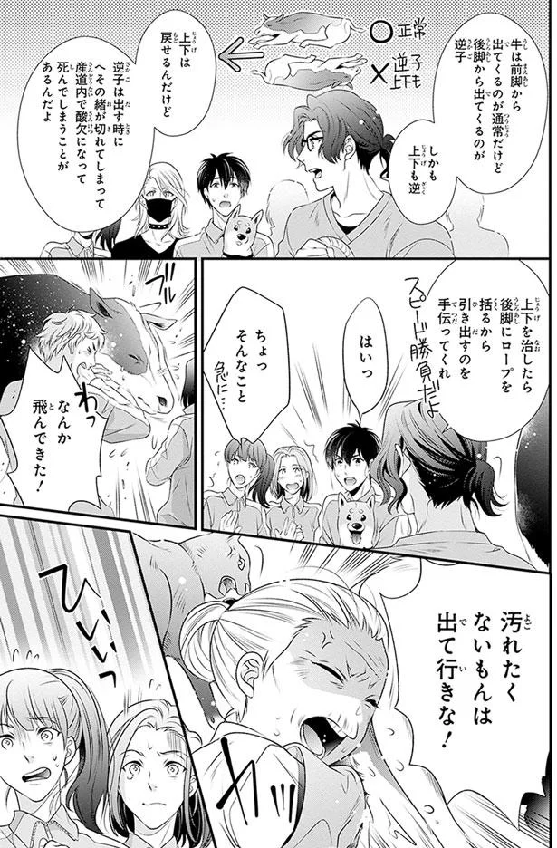 なんか飛んできた！