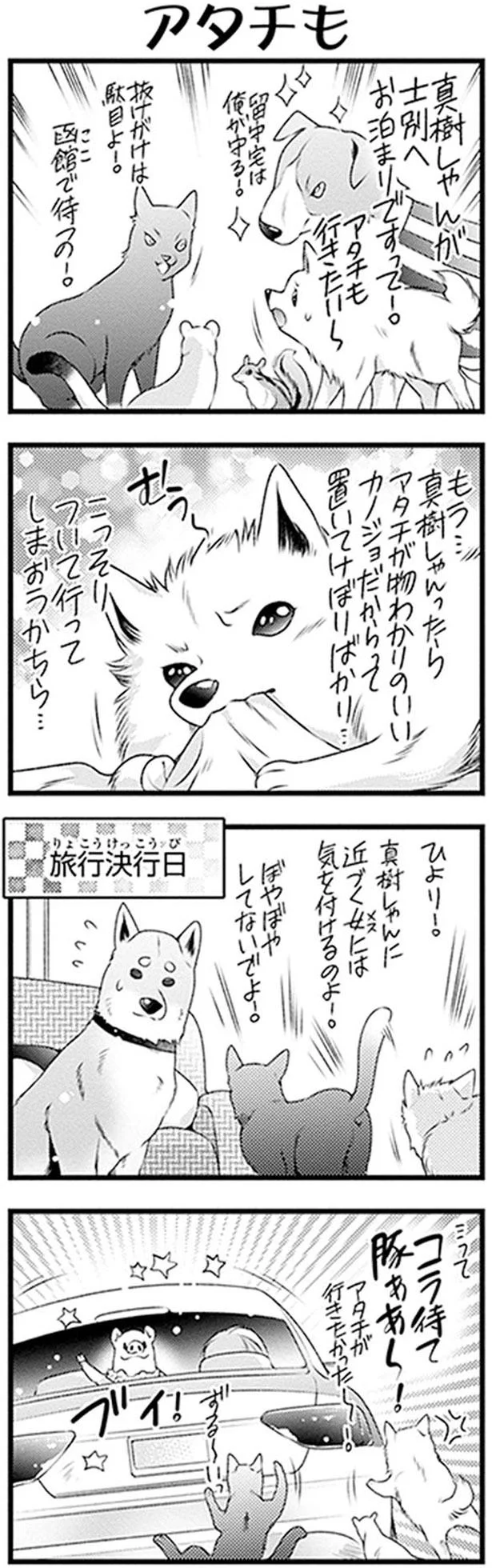 コラ待て