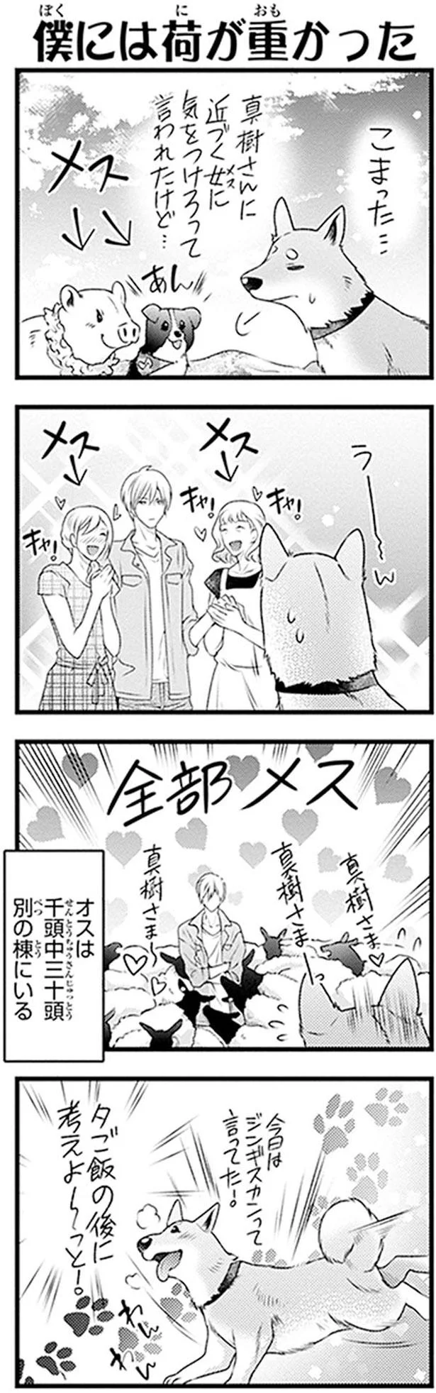 全部メス