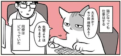 猫になっても仕事はする