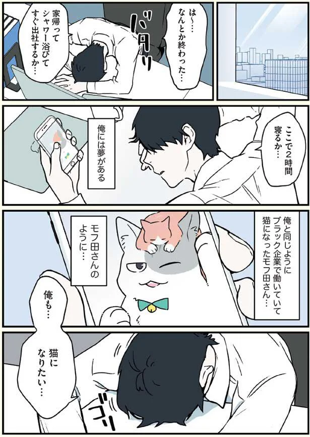 猫になりたい…