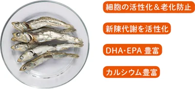 煮干しはイノシン酸、DHA、EPA のトリプル効果で老化を防止し若々しく