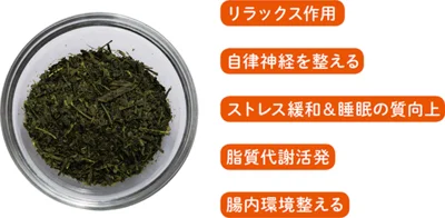 緑茶のリラックス作用でストレスを緩和。脂質代謝を活性化してためない体へ