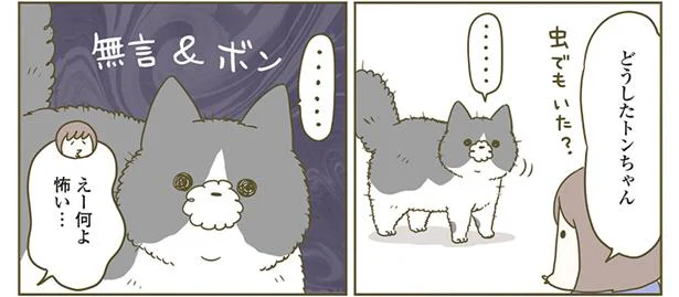 ど、どうした…?