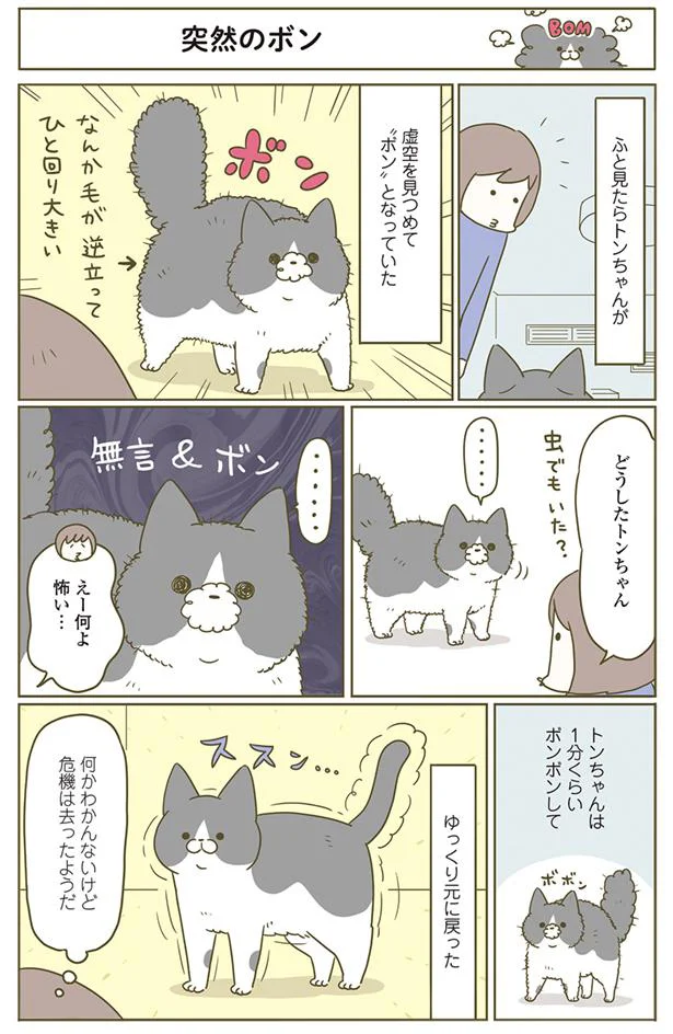 突然のボン