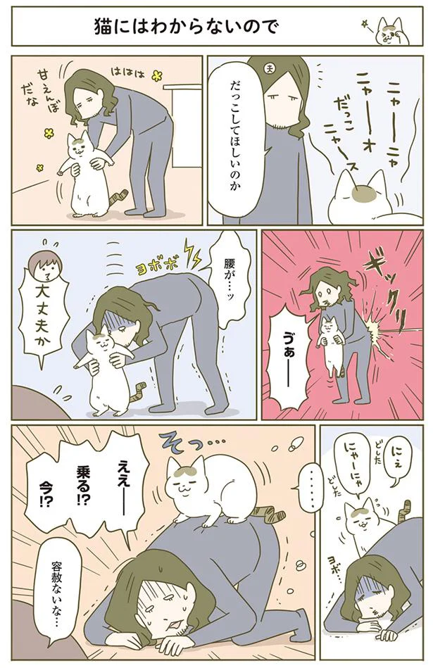 猫には分からないので