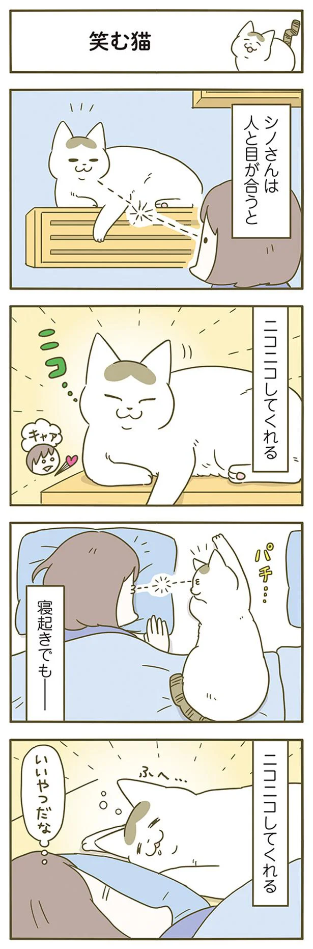 笑む猫