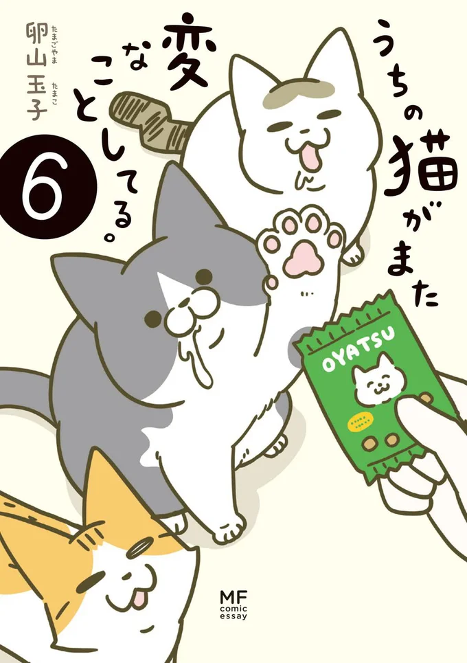 猫、未知との遭遇!?『うちの猫がまた変なことしてる。6』