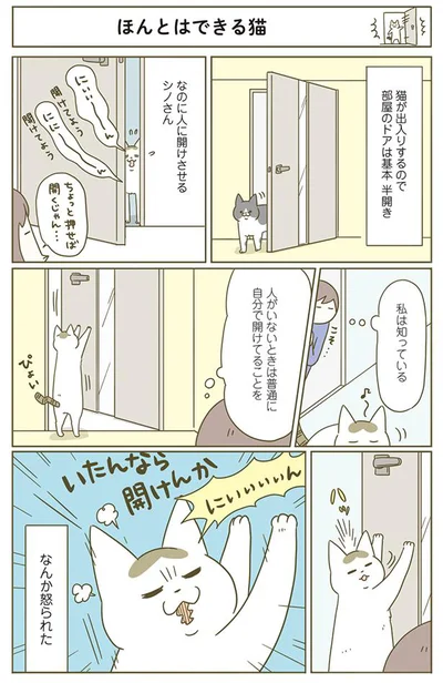 ほんとはできる猫