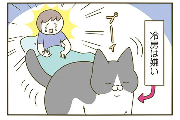 冷房は嫌いな猫