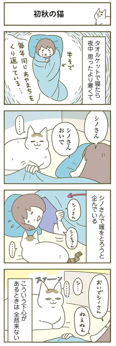 初秋の猫
