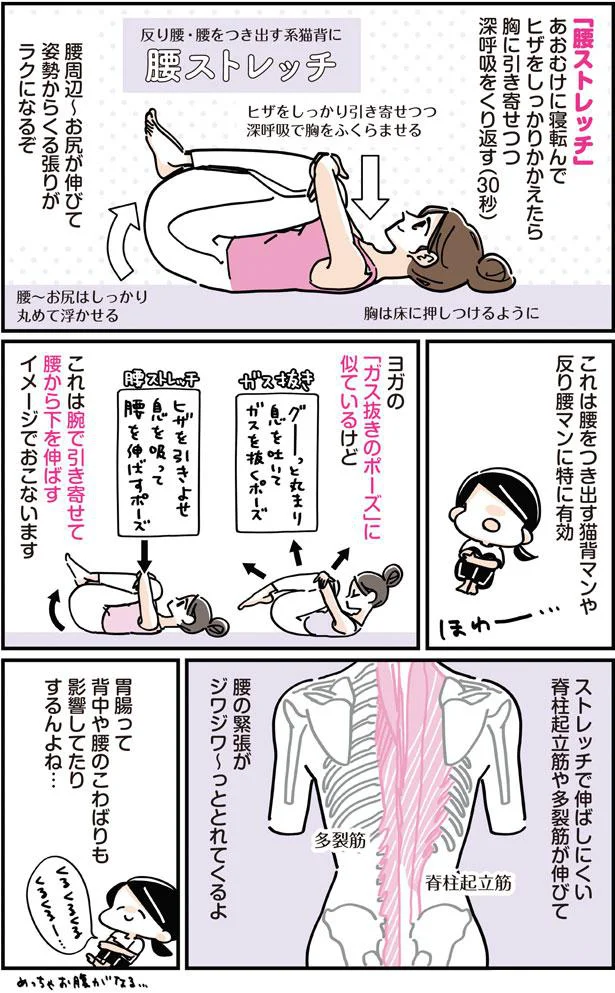 腰ストレッチ