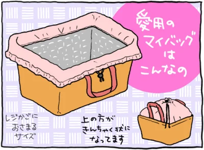 いつも使っているエコバッグは、レジカゴサイズの箱型タイプ