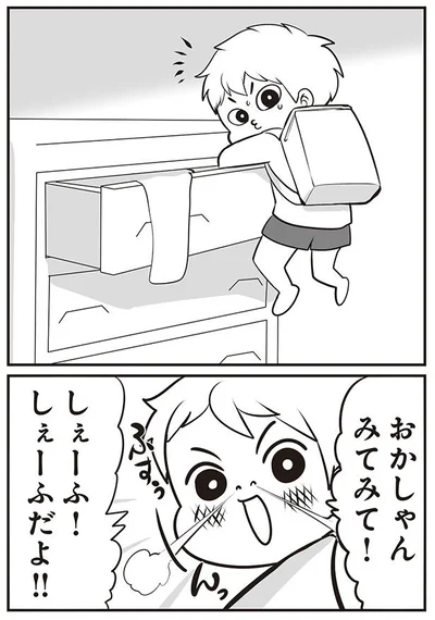 しぇーふだよ！