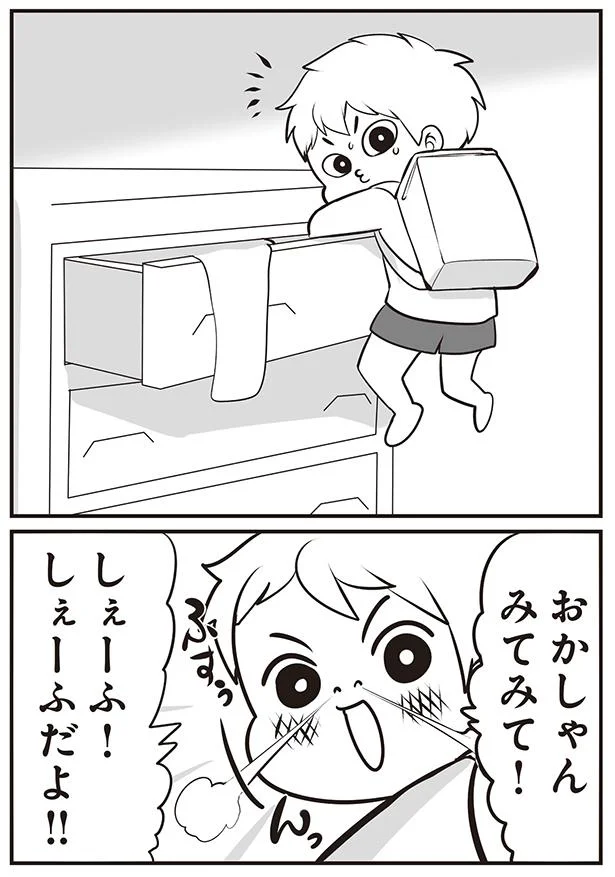 しぇーふだよ！