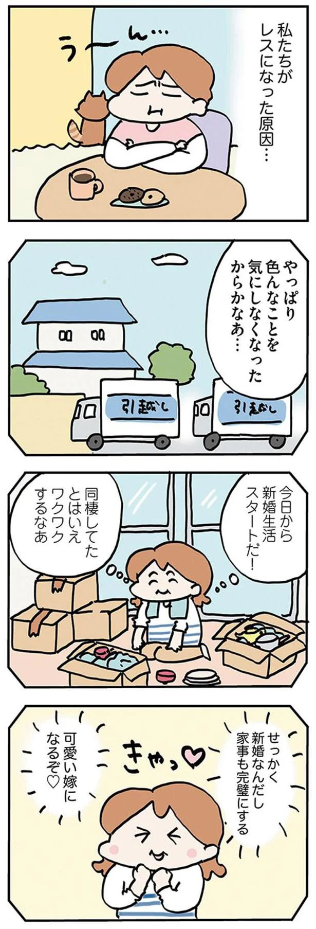 私たちがレスになった原因…