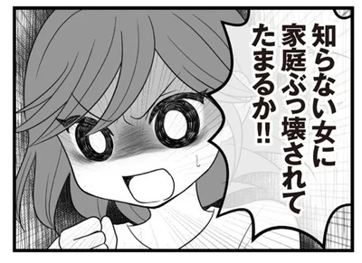 知らない女に家庭をぶっ壊されてたまるか！