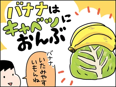 バナナはキャベツにおんぶ