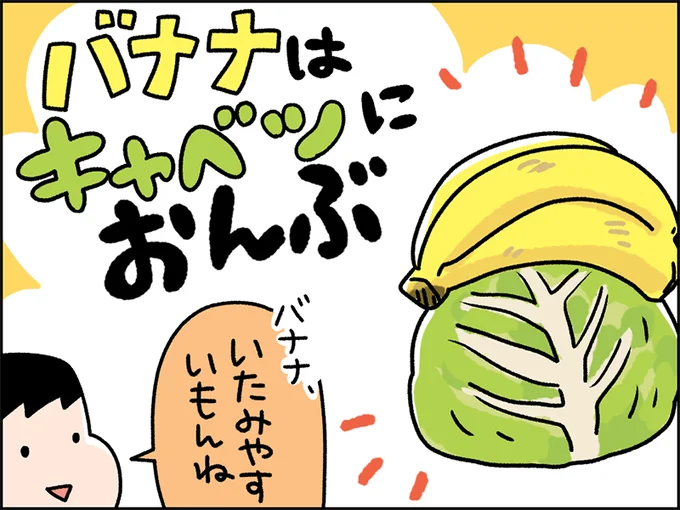 バナナはキャベツにおんぶ