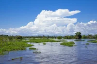 アマゾン川の地下にはもう一つ巨大な河がある⁉ ／人類なら知っておくべき地球の雑学（104）