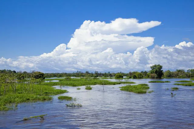 アマゾン川の地下にはもう一つ巨大な河がある⁉ ／人類なら知っておくべき地球の雑学（104）