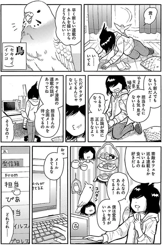 もう新人でもないんだよ！