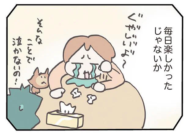 毎日楽しかったじゃないか