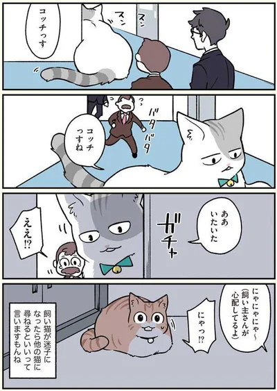 コッチっすね