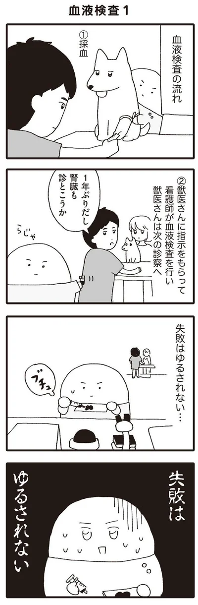 失敗はゆるされない…