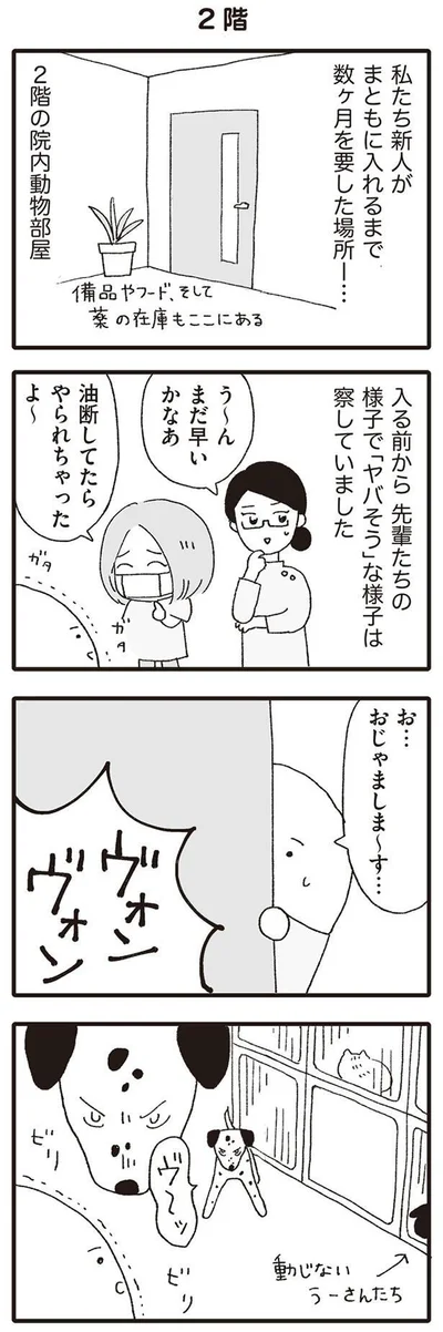 お…おじゃましま～す…