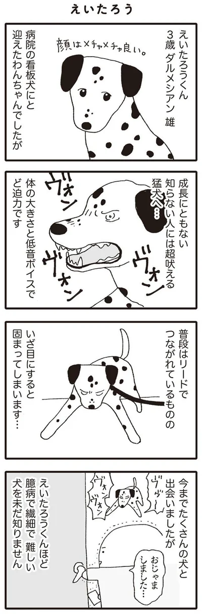 成長にともない　知らない人には超吠える猛犬へ…