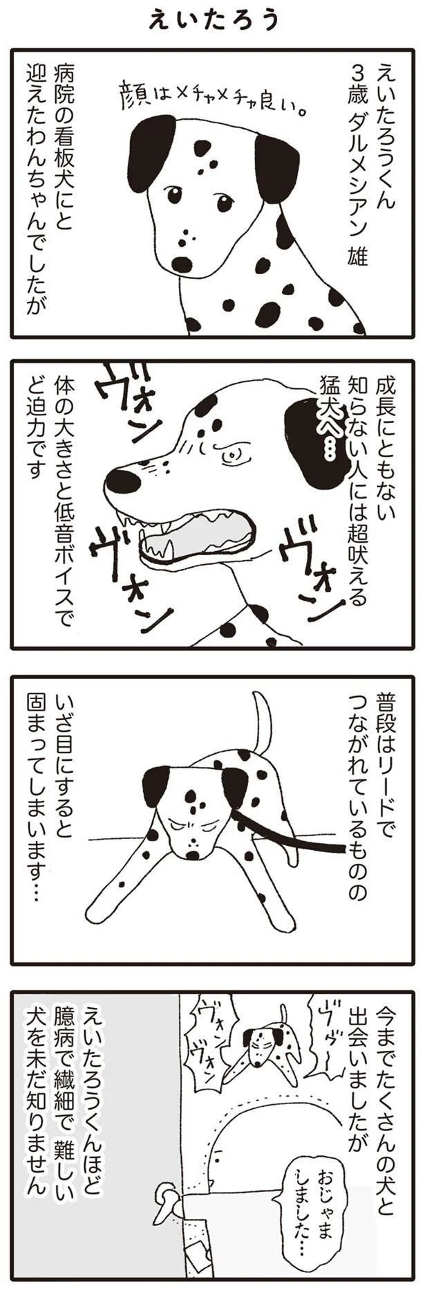 成長にともない　知らない人には超吠える猛犬へ…