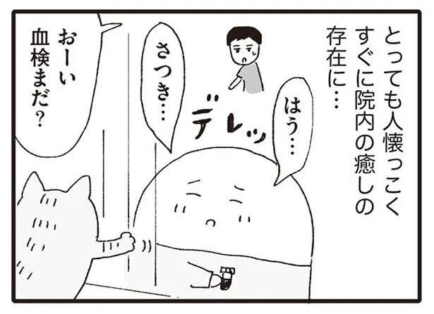 はう…さつき…