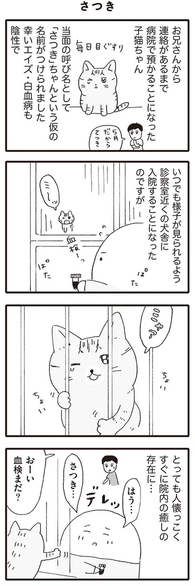 おーい　血検まだ？