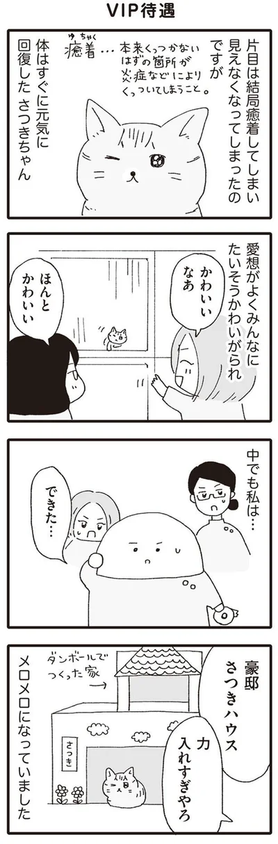 力入れすぎやろ