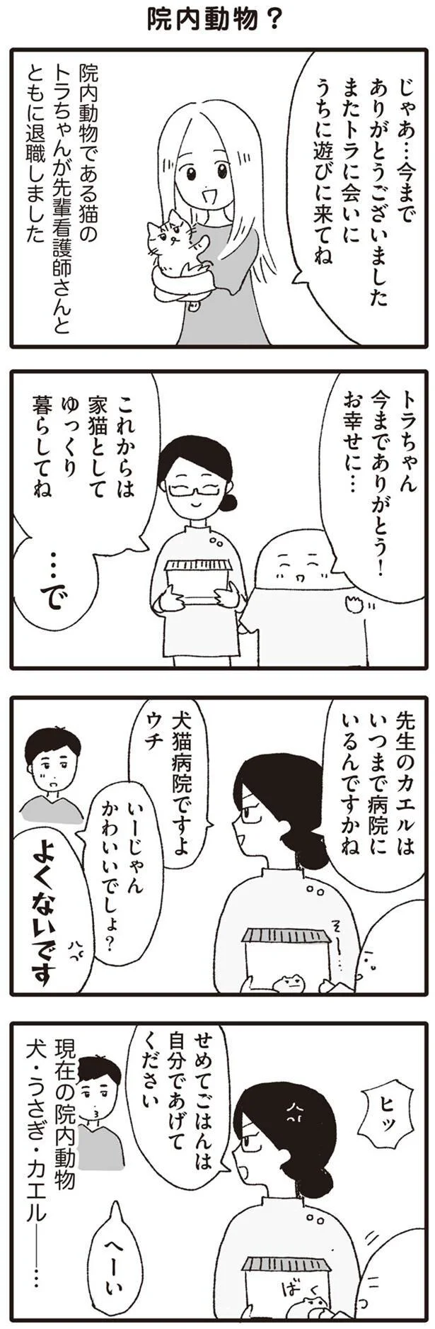 初夏に訪れるうさぎの換毛期 みんな夢中になる作業って いぬねこ動物病院日記 9 画像4 6 レタスクラブ