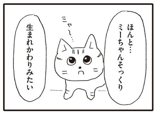 ほんと…ミーちゃんそっくり