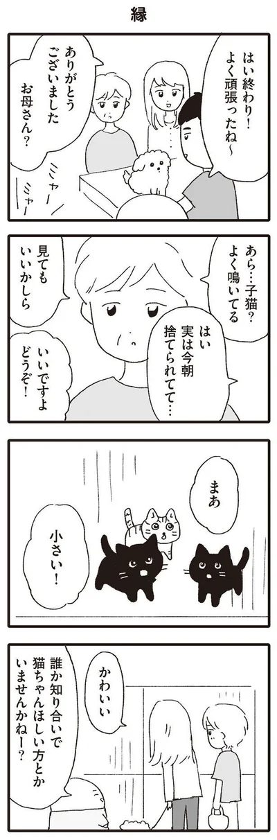 誰か知り合いで猫ちゃんほしい方とかいませんかねー？