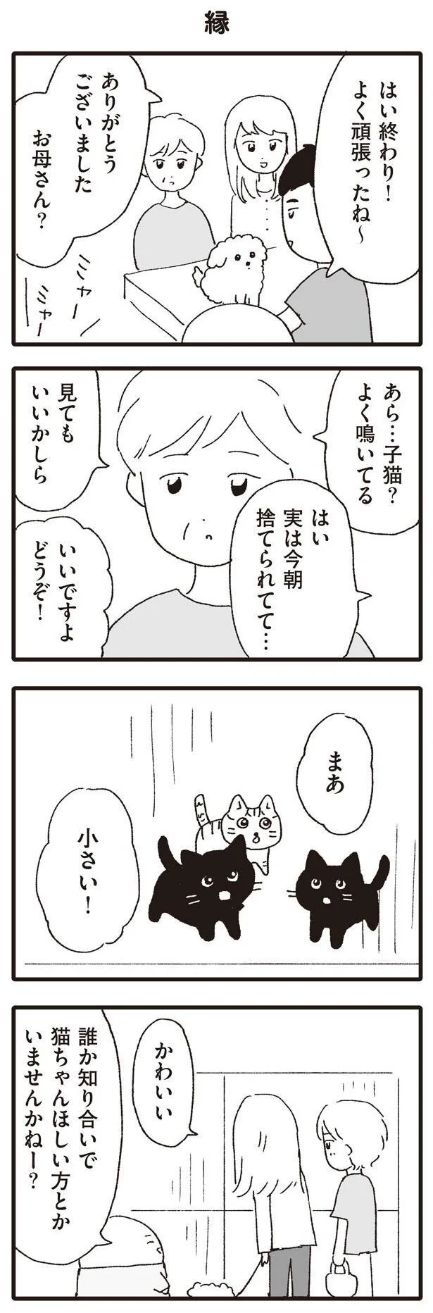 誰か知り合いで猫ちゃんほしい方とかいませんかねー？