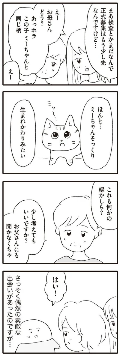 これも何かの縁かしら？