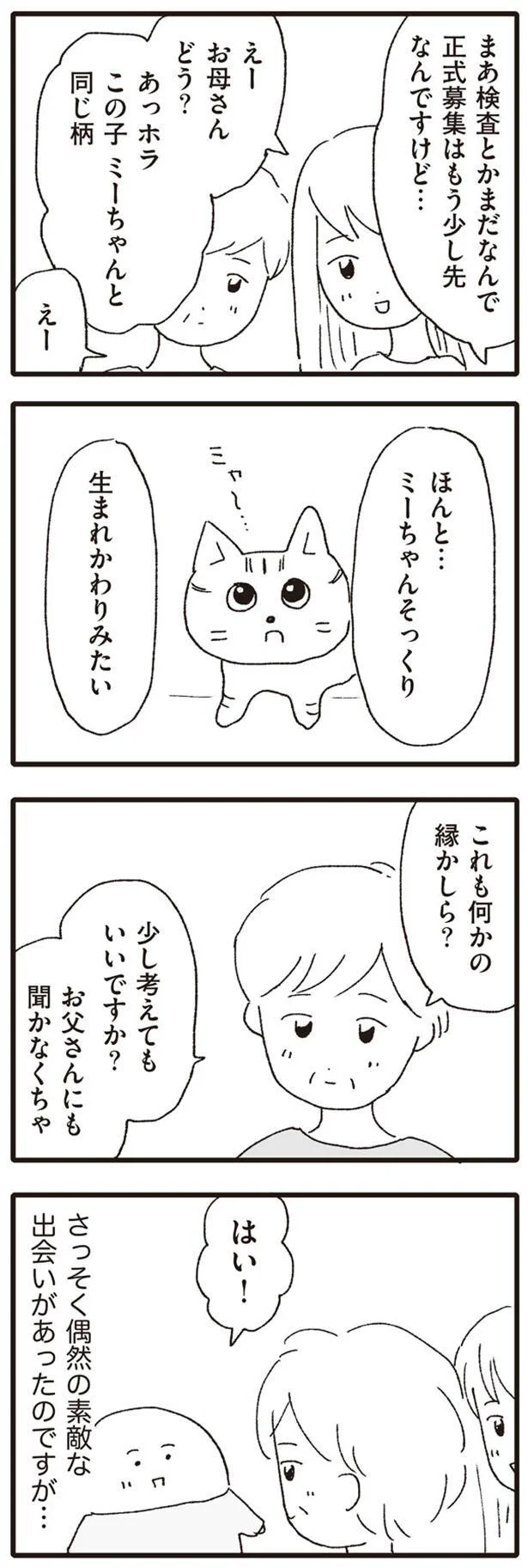 ミーちゃんそっくり 病院前の捨て猫に偶然の出会いが いぬねこ動物病院日記 10 画像5 6 レタスクラブ