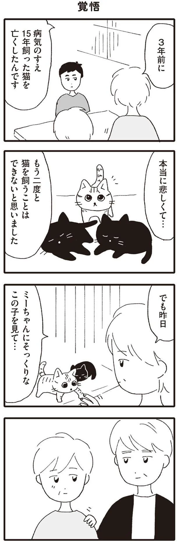 もう二度と猫を飼うことはできないと思いました