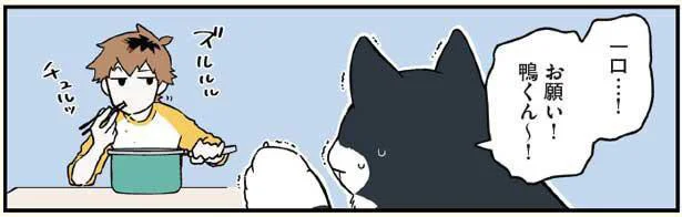 一口…!お願い!鴨くん~!