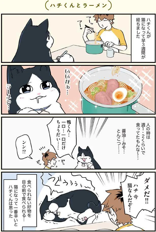 ダメだ！！ハチ今猫なんだぞ！